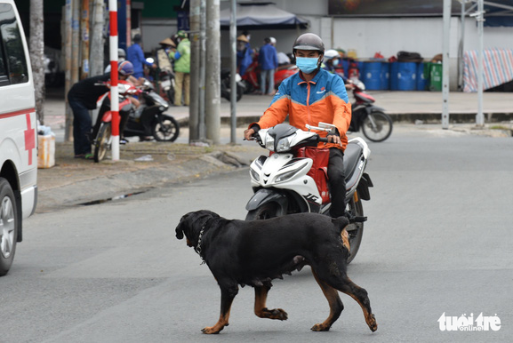 People should be banned from raising vicious dogs in Vietnam: Tuoi Tre readers