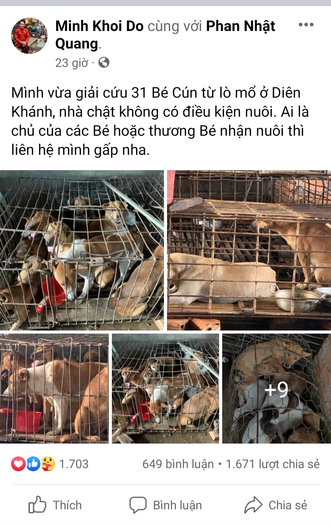 Man rescues 31 dogs from slaughterhouse in south-central Vietnam