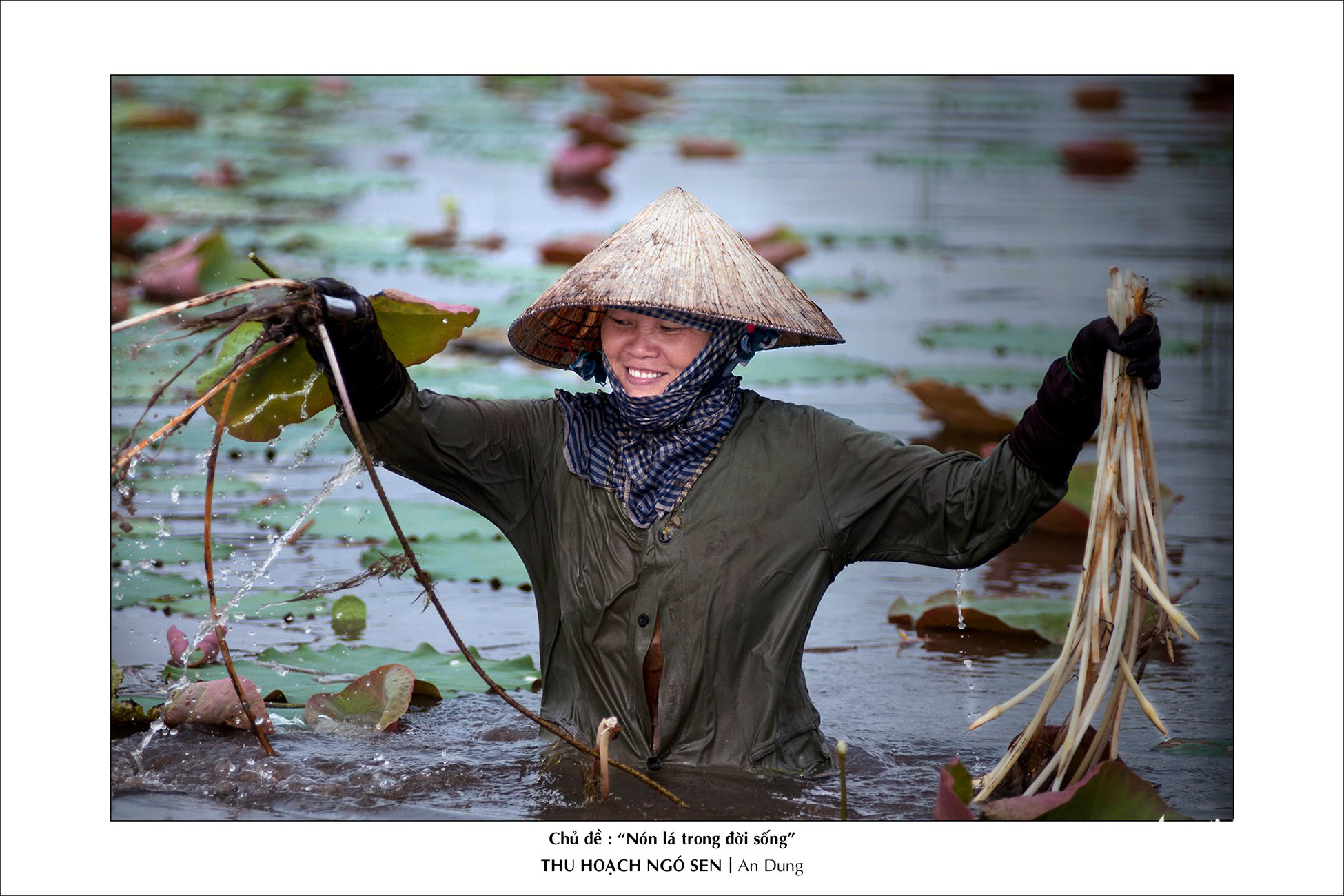 Female photographers showcase ‘non la’ photos at Ho Chi Minh City exhibition