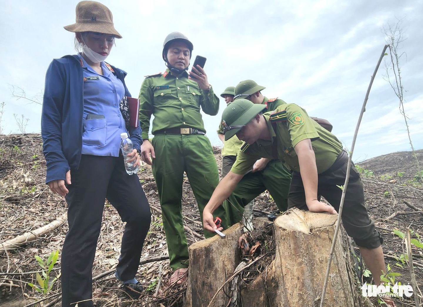 North-central Vietnamese province suspends ranger over forest destruction investigation