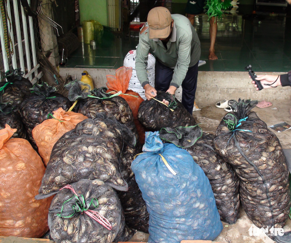 Field crab catching season in Dong Thap