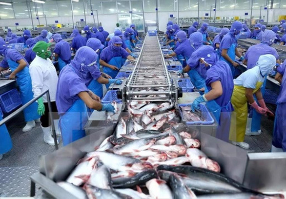 Vietnam’s August seafood exports up 80 percent year on year