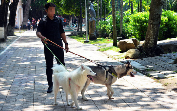 Vietnamese health ministry warns of rabies outbreak risk