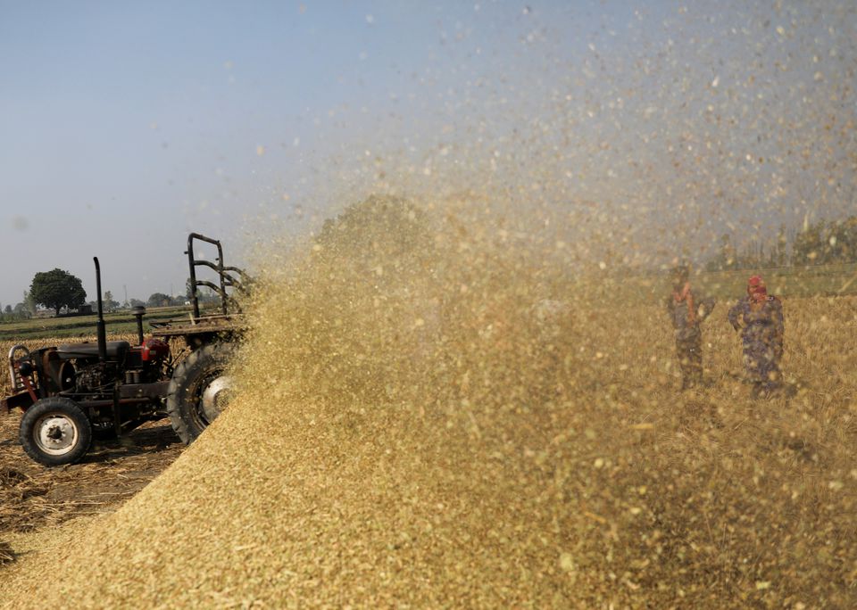 Asia rice — Steady demand lifts Vietnam rates, rupee dive trims India prices