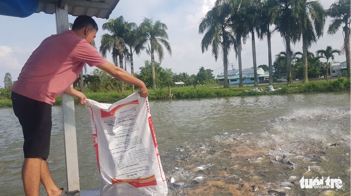 In Vietnam's Mekong Delta region, catfish hubs struggle with shortage of juvenile fish