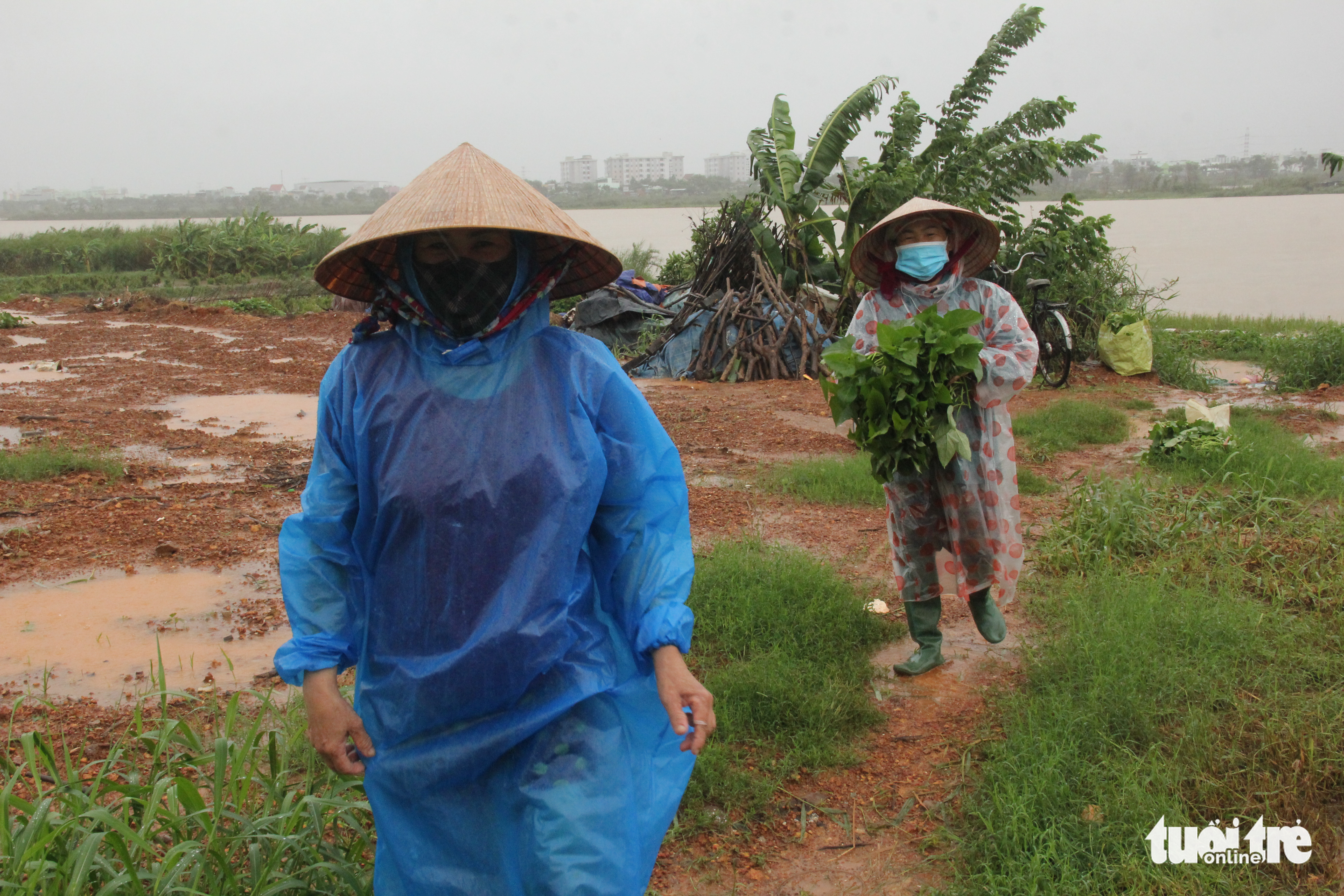 Downpours to lash central Vietnam, posing risk of flash floods, landslides