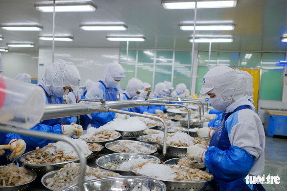 Workers in Da Nang furloughed, work fewer hours as orders fall