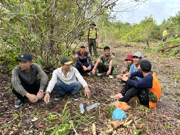 8 in custody for destroying nearly 2,000 sqm of forest on Vietnam's Phu Quoc