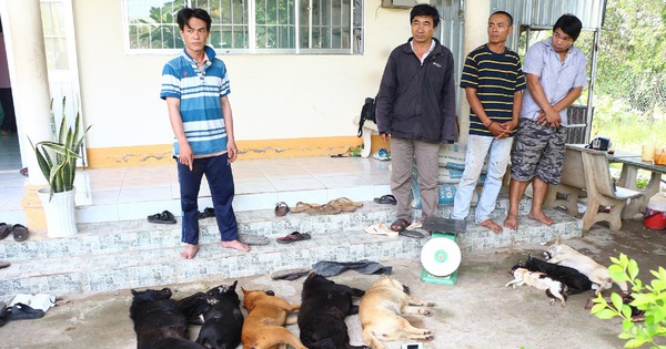 3 arrested for stealing dogs weighing 3 tonnes in Vietnam’s Central Highlands