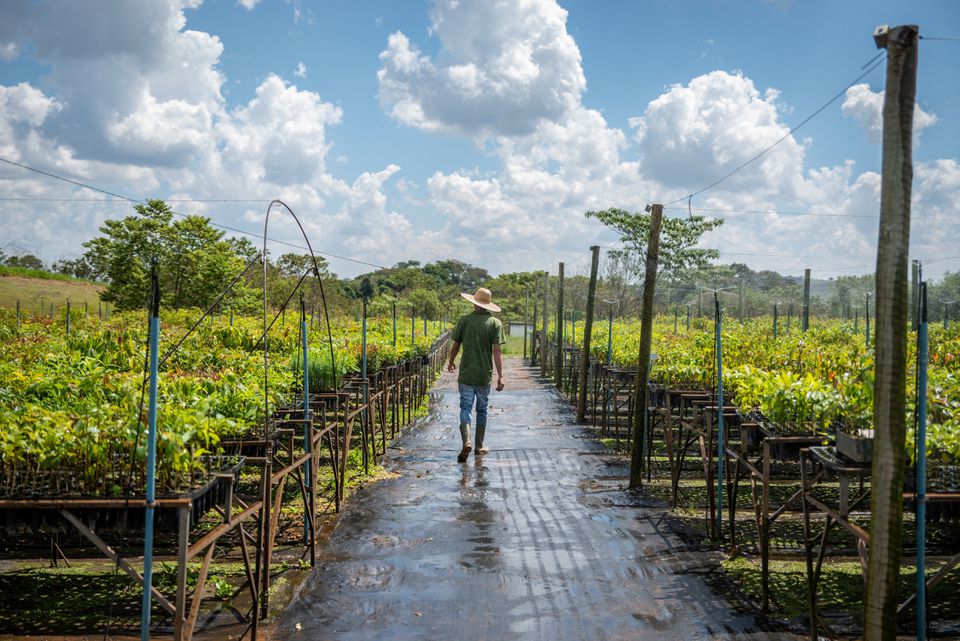 At COP15 summit, U.N. announces nature restoration priorities through 2030