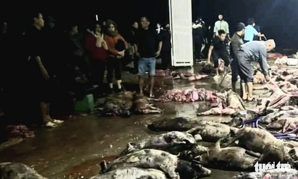 Thousands of pigs killed in fire in central Vietnam, causing $425,000 loss