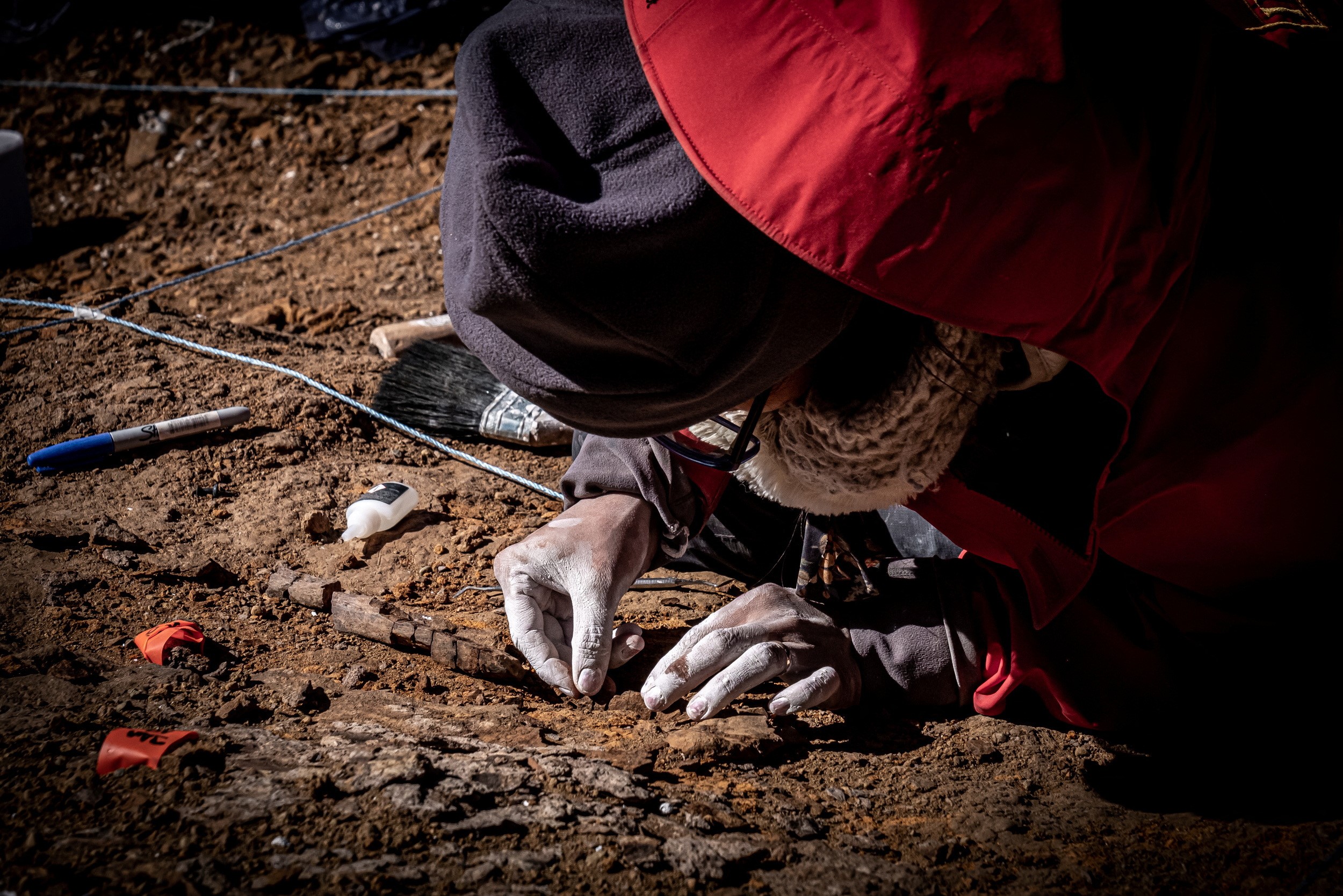 Scientists unearth megaraptors, feathered dinosaur fossils in Chile's Patagonia