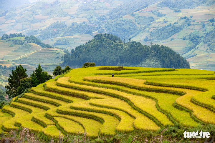 Vietnam’s Mu Cang Chai rice terraces, Ha Long Bay among world’s most brilliant places: Condé Nast Traveler