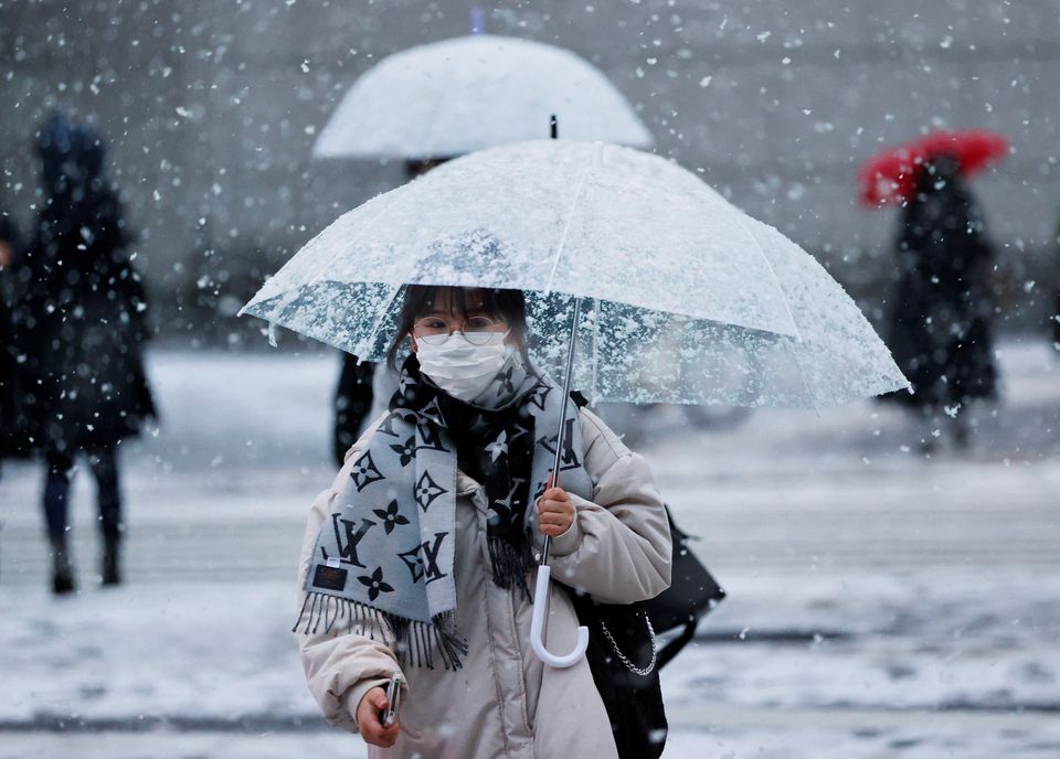 Heavy snow in Japan disrupts flights and trains, closes roads