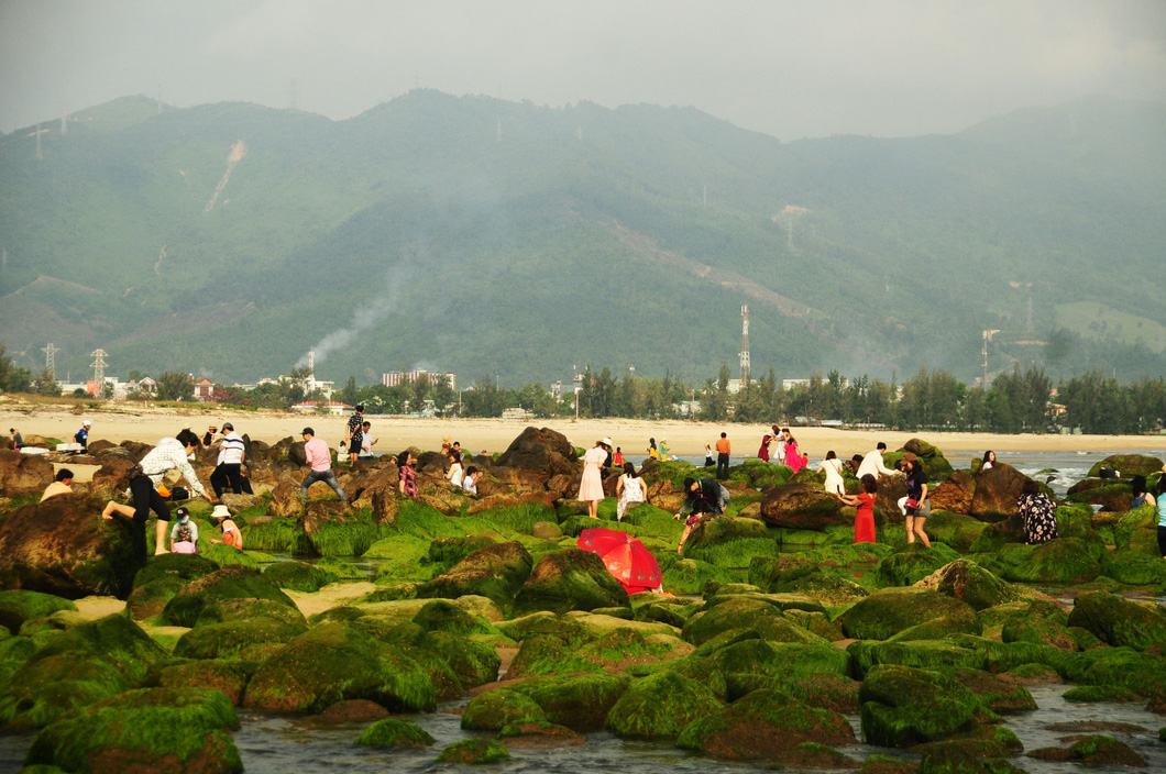 Visitors rush to moss-covered rocks at Da Nang beach