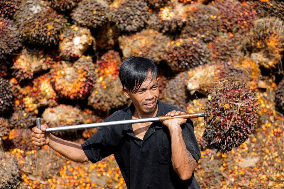 India seen coping with Indonesia curbs on palm oil exports