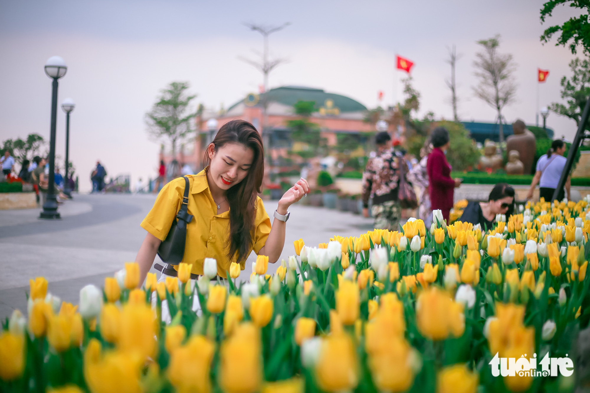 Tulips in full bloom wow visitors to Ba Den Mount in Vietnam's Tay Ninh Province