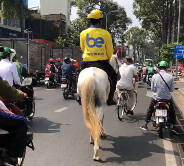 Man fined for riding horse in downtown Ho Chi Minh City