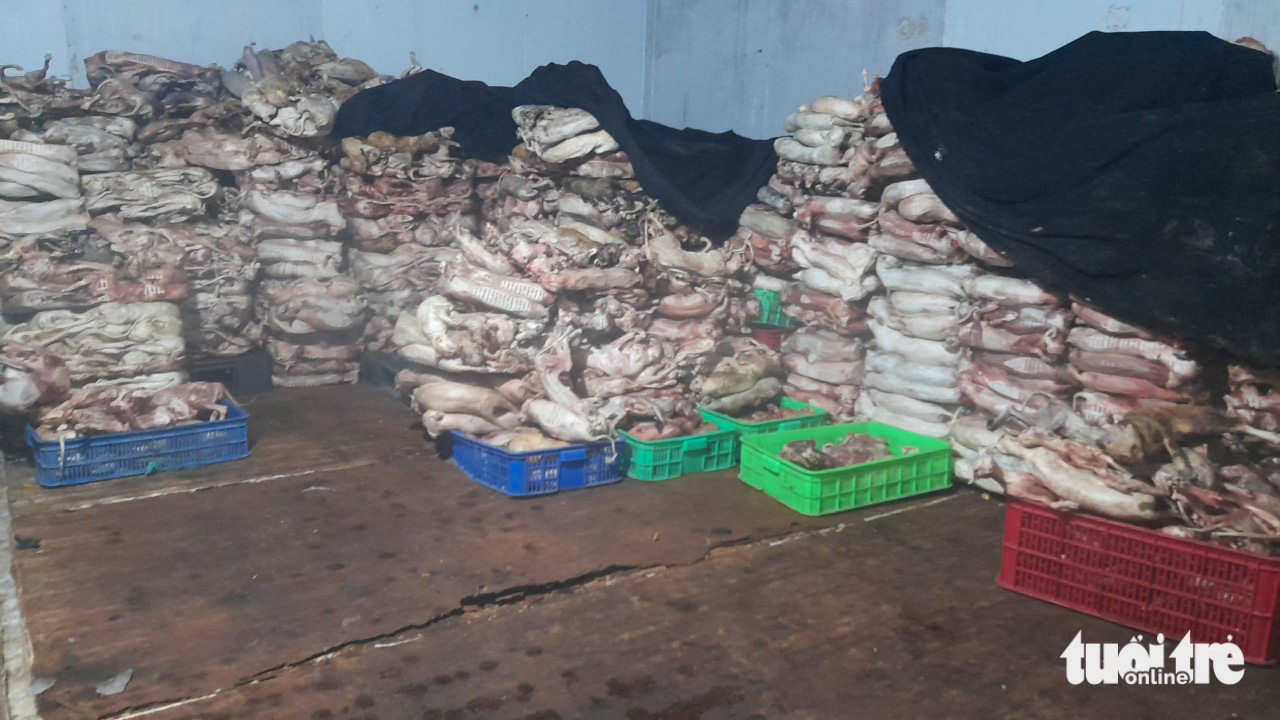 4 tonnes of frozen dead cats, 480 live felines found at southern Vietnam household