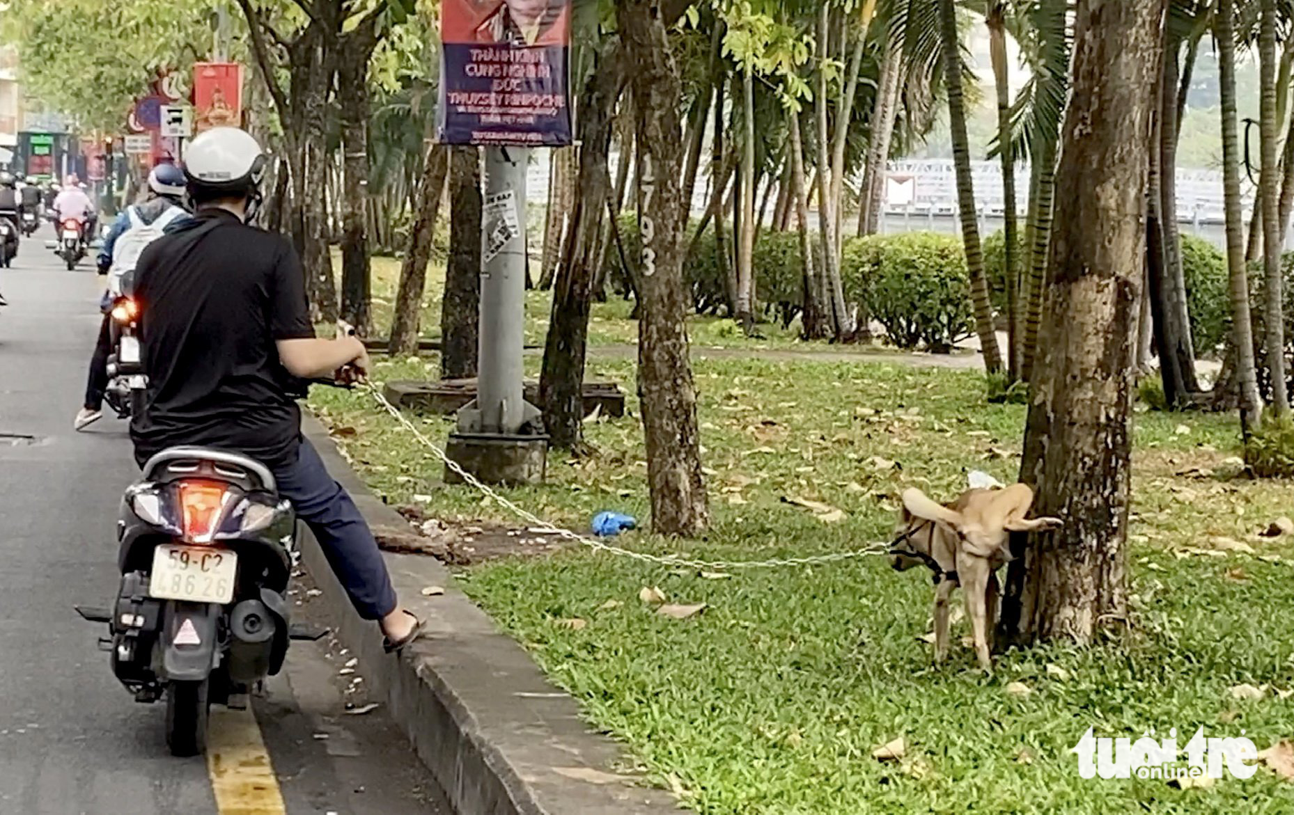 Ho Chi Minh City green space fouled with dog poop