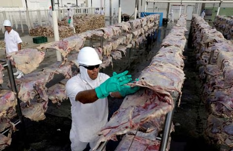 Mad cow case in Brazil dubbed 'atypical' after export bans applied