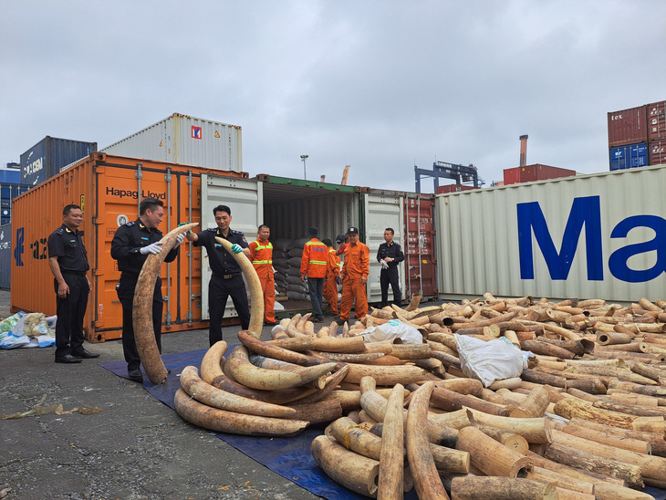 Vietnam seizes 7 tonnes of smuggled ivory