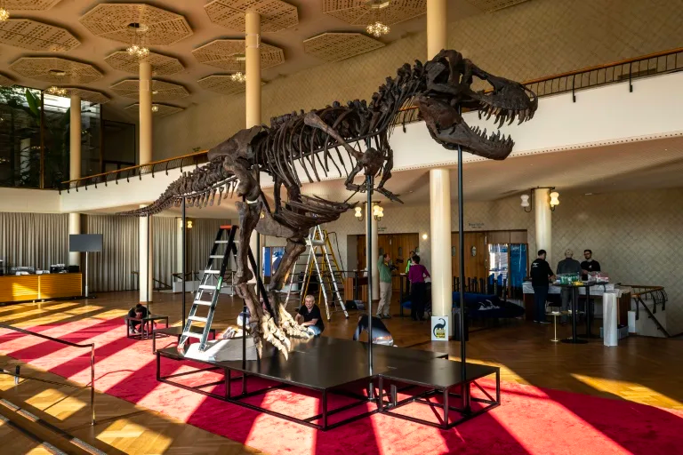 Scientists have bone to pick with T-Rex skeleton set to sell for millions