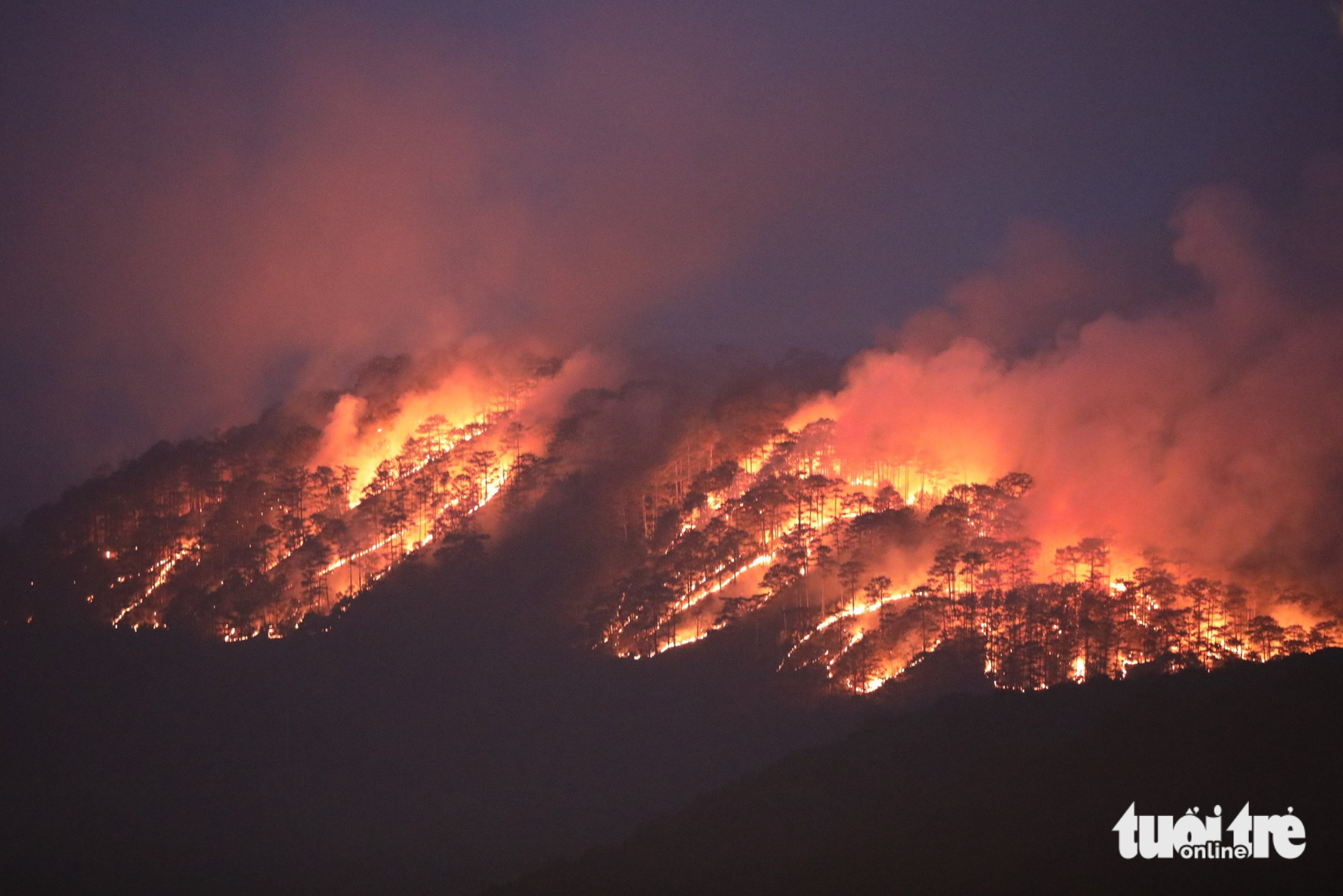Fire ravages forest at entrance to Vietnam’s Da Lat