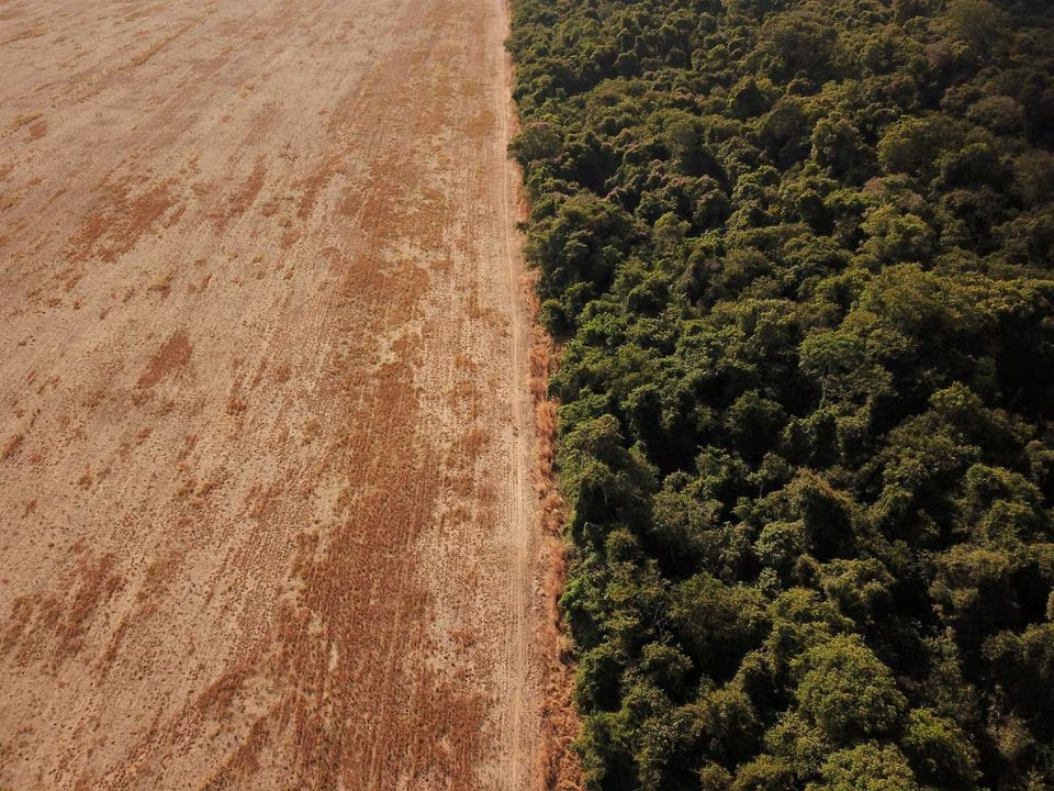 Deforestation in Brazil's Amazon rises in March