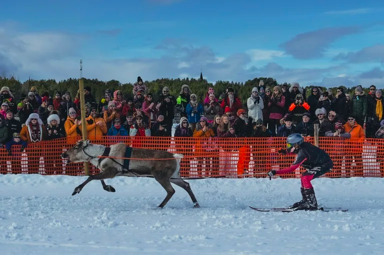 Reindeer racing king crowned in Arctic tournament