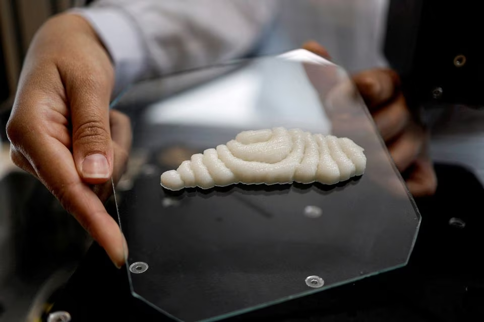 Dished up by 3D printers, a new kind of fish to fry