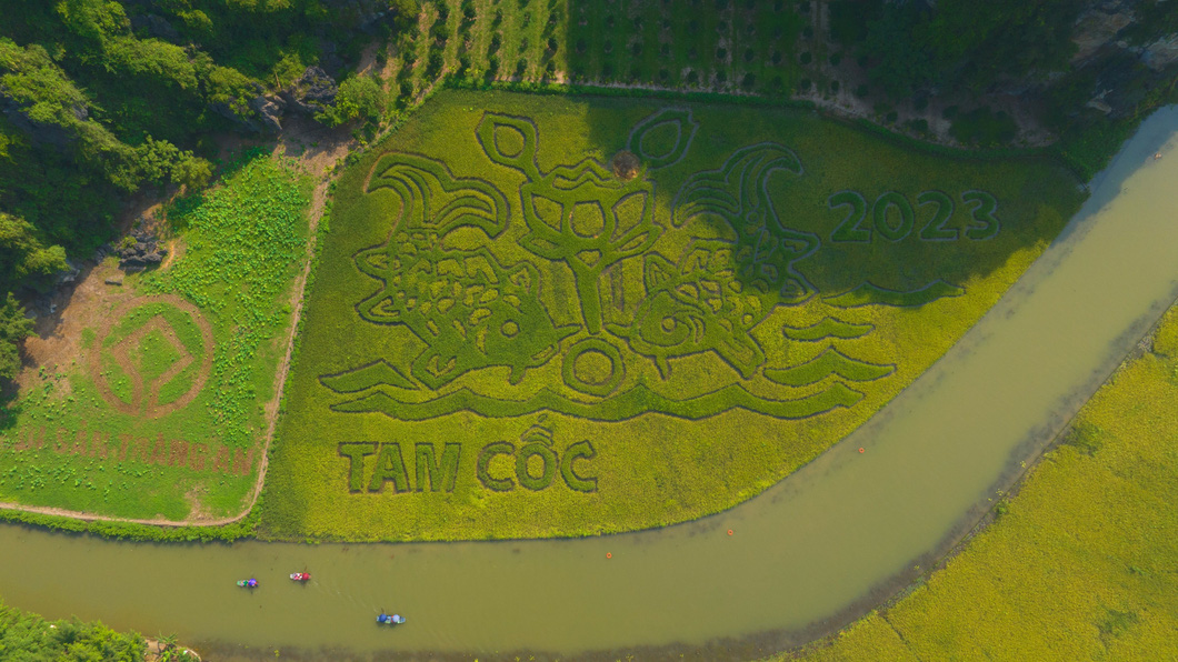 Tourism week kicks off in northern Vietnam with huge artwork on paddy fields