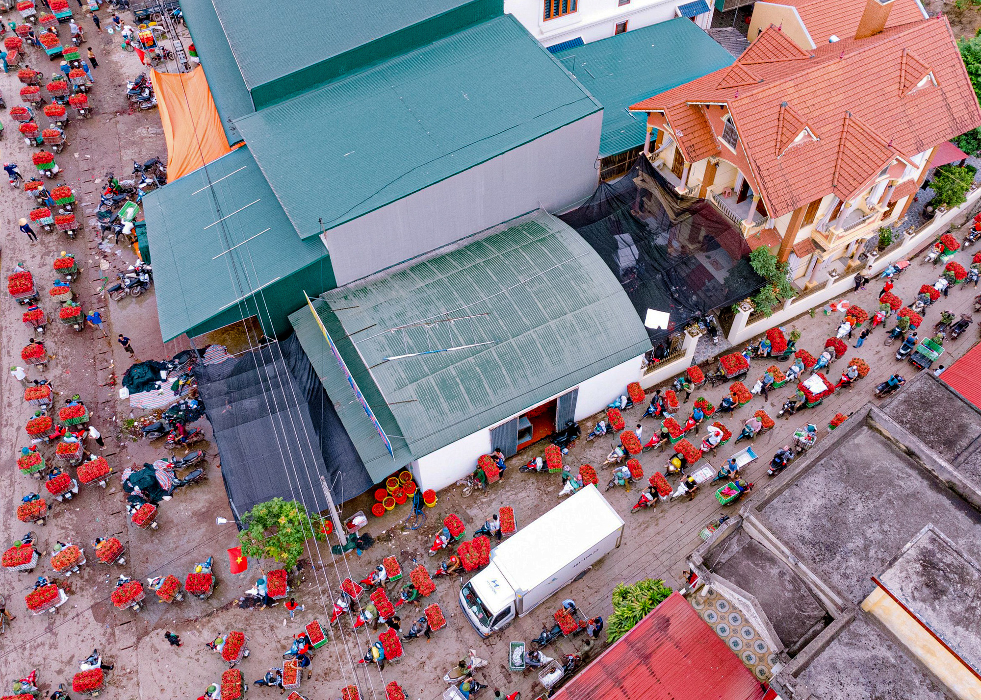 Photo of The Day: Lychees paint streets red in northern Vietnam