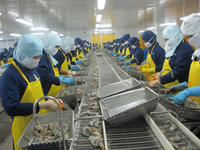Higher prices lead to Vietnam’s decreased shrimp exports: VASEP