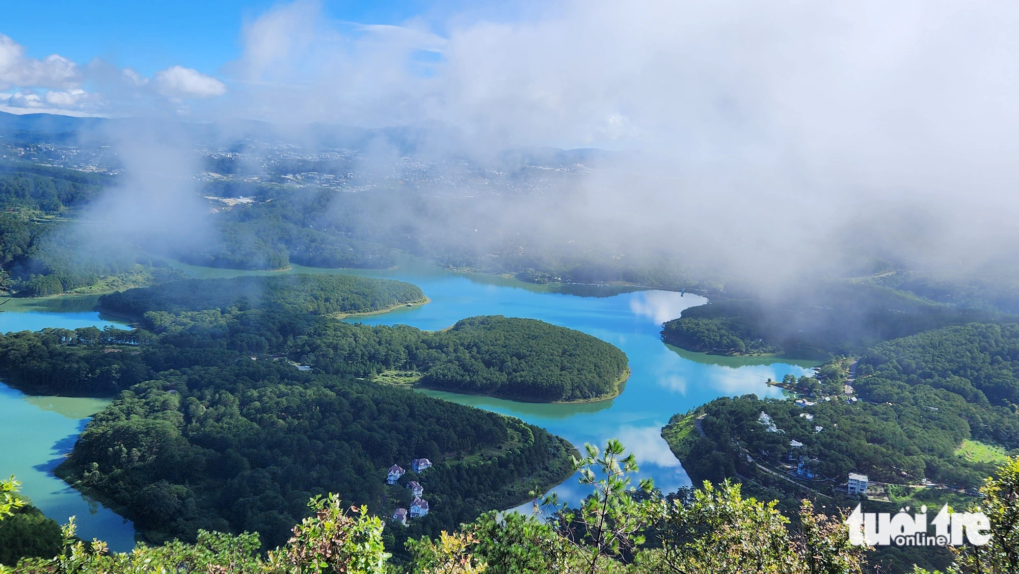 Vietnamese firm seeks nod to develop resort in Da Lat protection forest