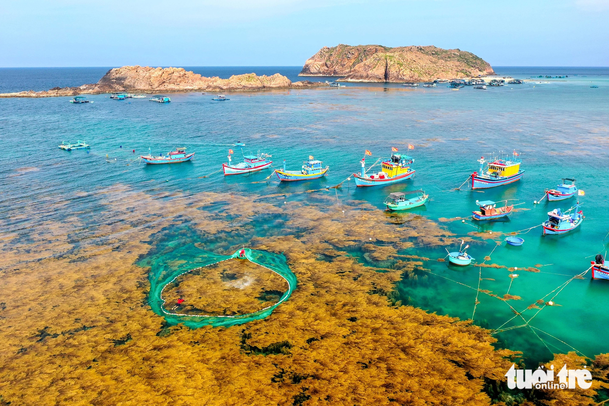 Perfect summer getaway to south-central Vietnam village during seaweed season