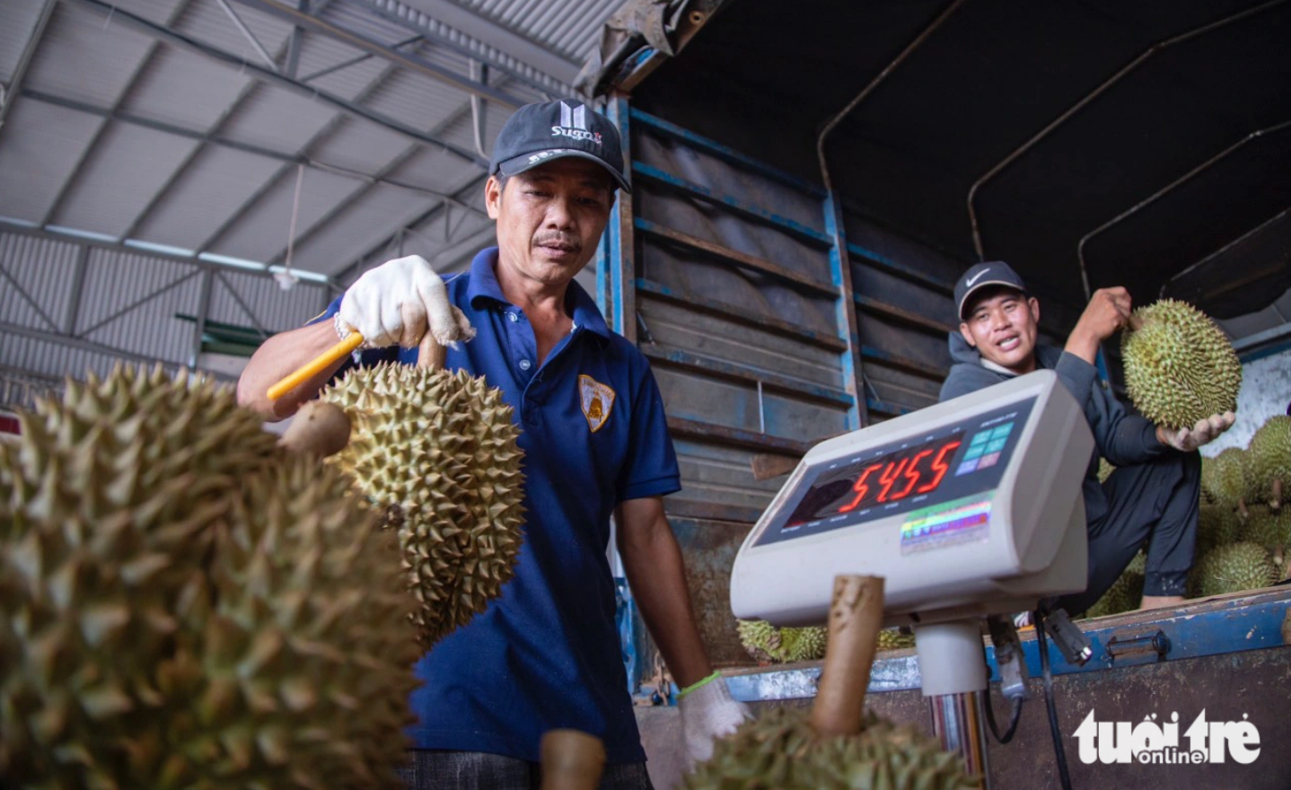 Vietnam’s Dak Lak seeks to export durians to China without stop for phytosanitary process at border gates