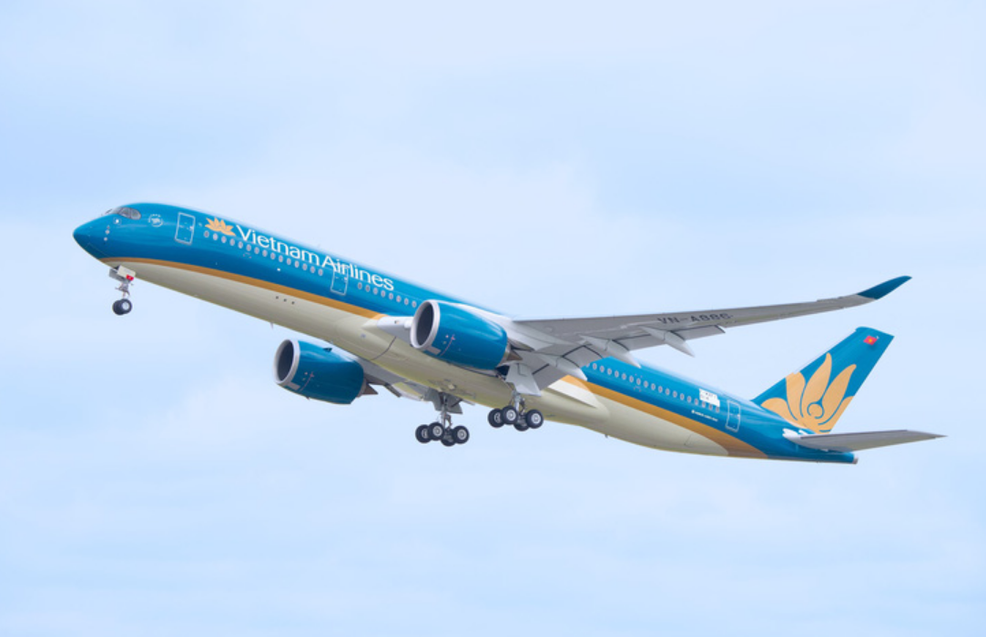 Vietnam Airlines plane lands unexpectedly in Dubai due to ill French passenger