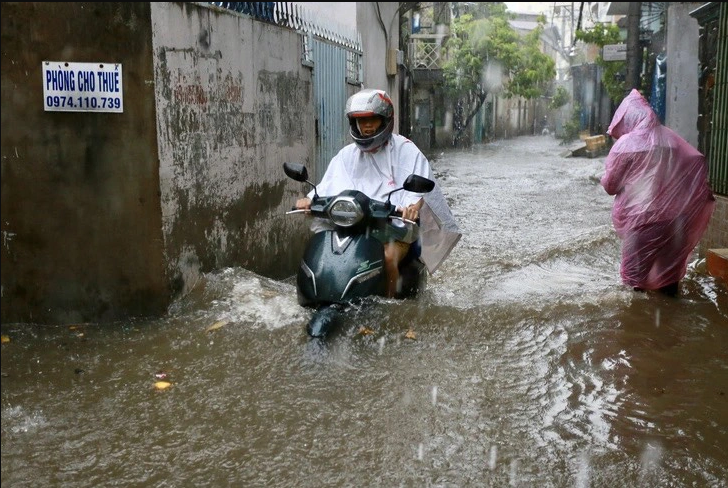 Ho Chi Minh City administration orders drastic action to prevent natural disasters