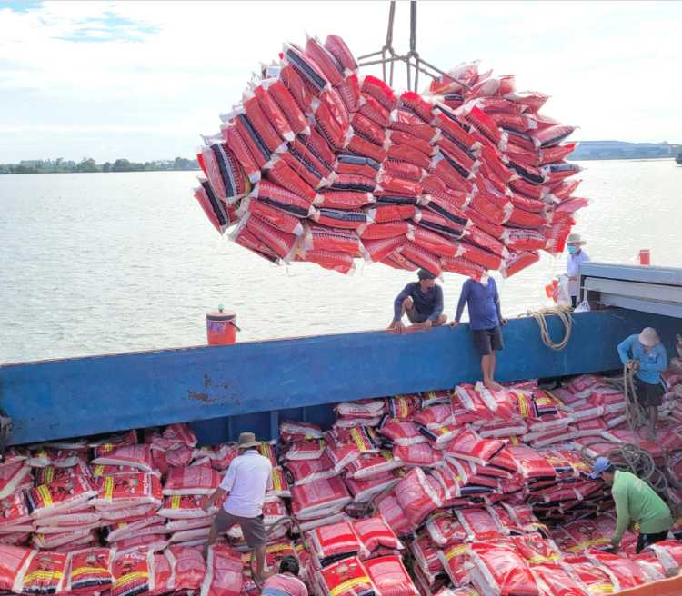 Vietnam’s rice export prices on an uptrend