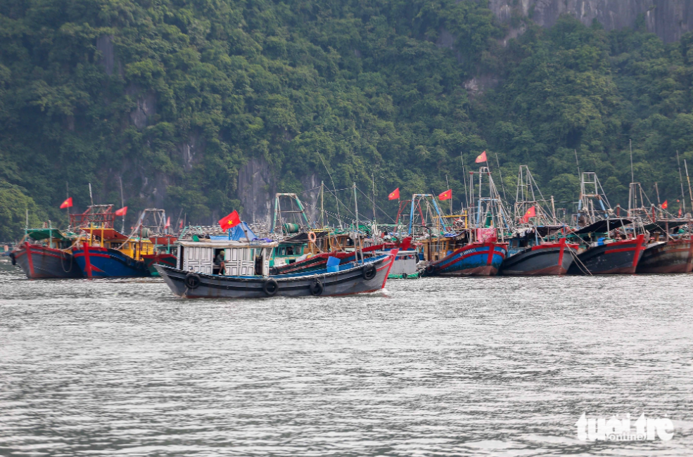 EC to visit Vietnam for IUU fishing inspection in October