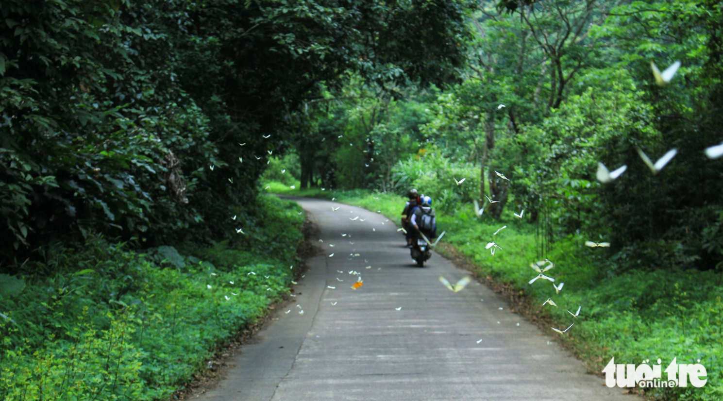 Vietnam’s Cuc Phuong national park named Asia’s leading national park for fifth time