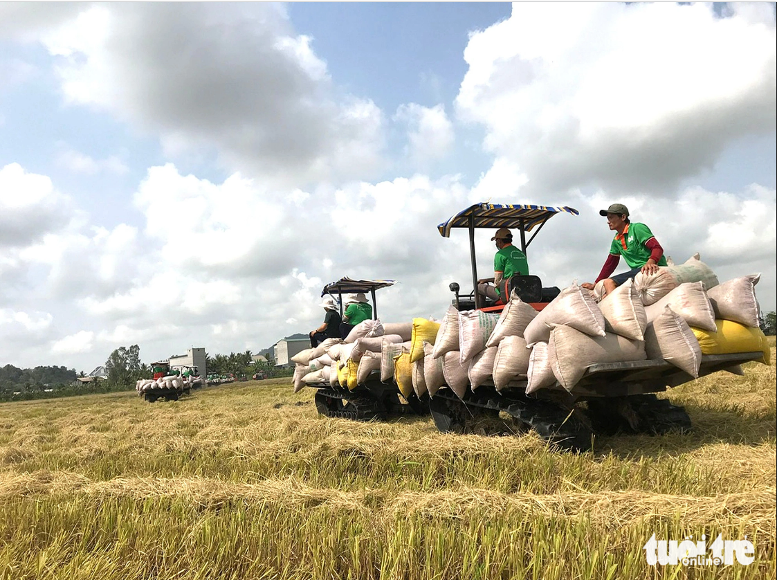 Surging rice prices ratchet up pressure on Vietnamese exporters, traders