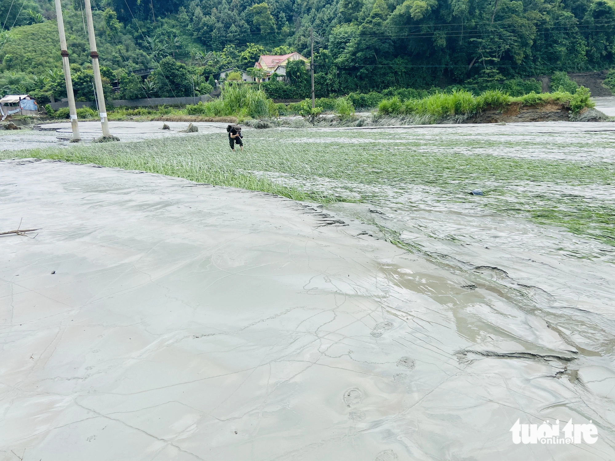 Over 20ha of crops damaged by sewage sludge in Vietnam’s Lao Cai