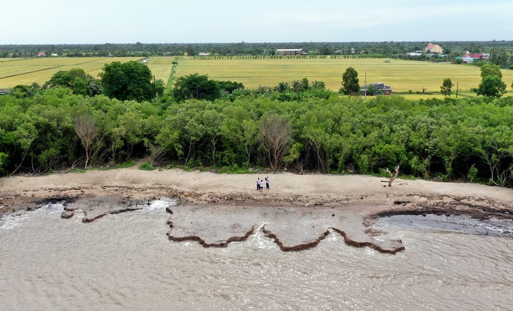 Sea dyke in southern Vietnam at high risk of severe erosion