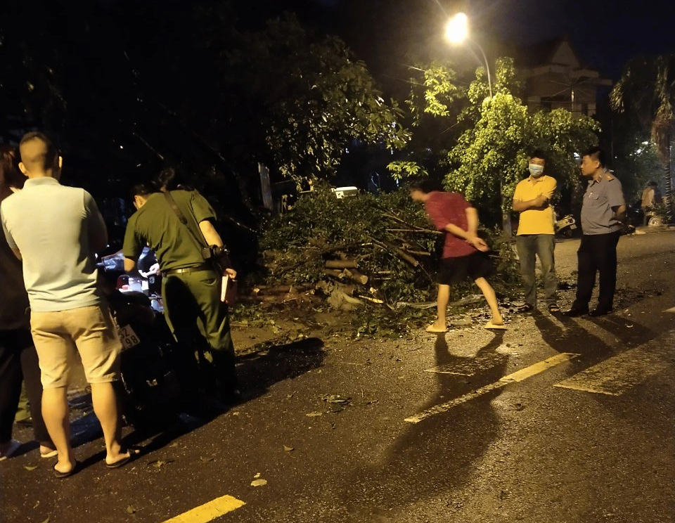 Uprooted tree kills man during downpour in Ho Chi Minh City