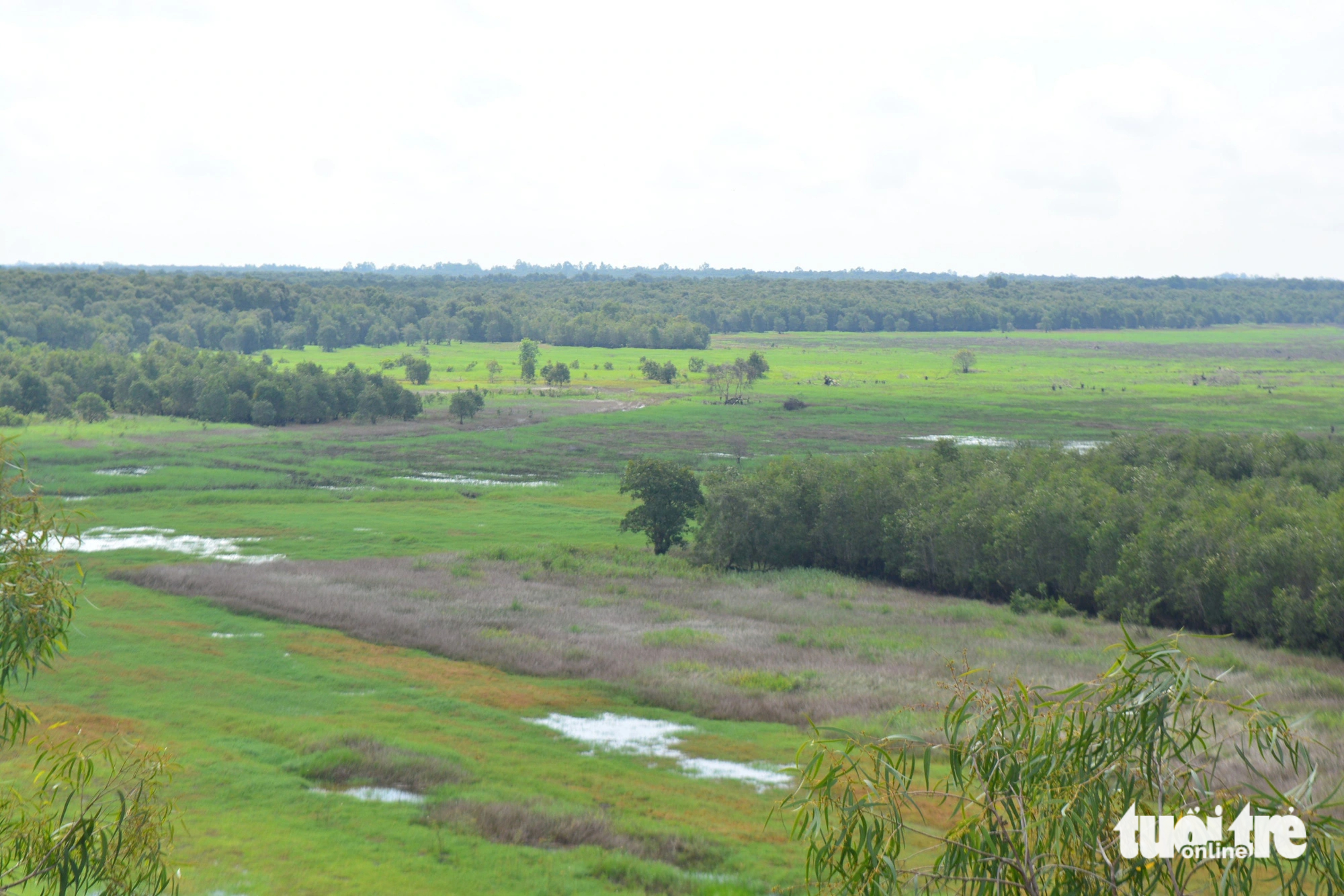 5 working teams established for red-crowned crane conservation scheme in Vietnam's Dong Thap