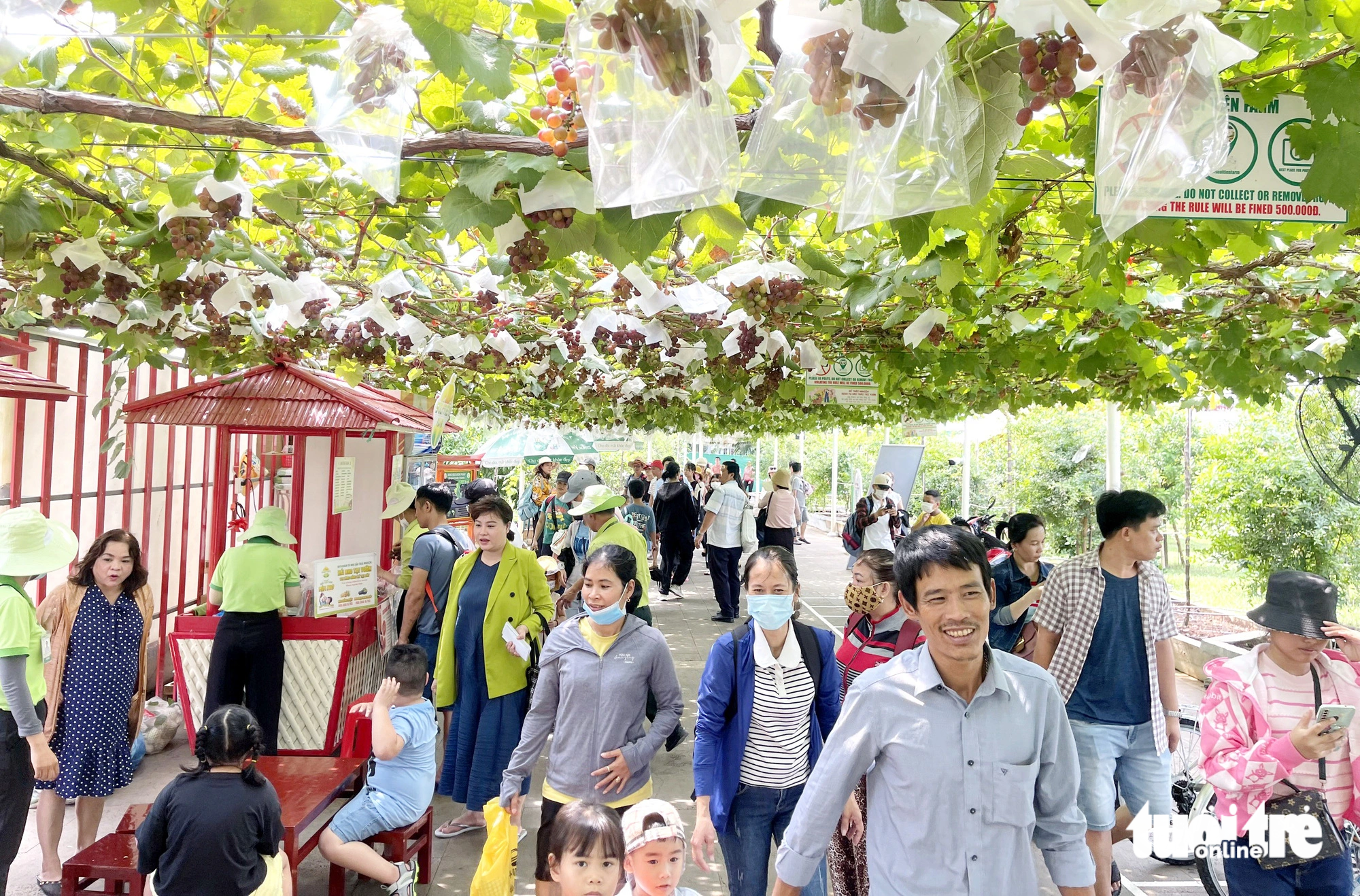 People enjoy holiday at popular destinations in Ho Chi Minh City