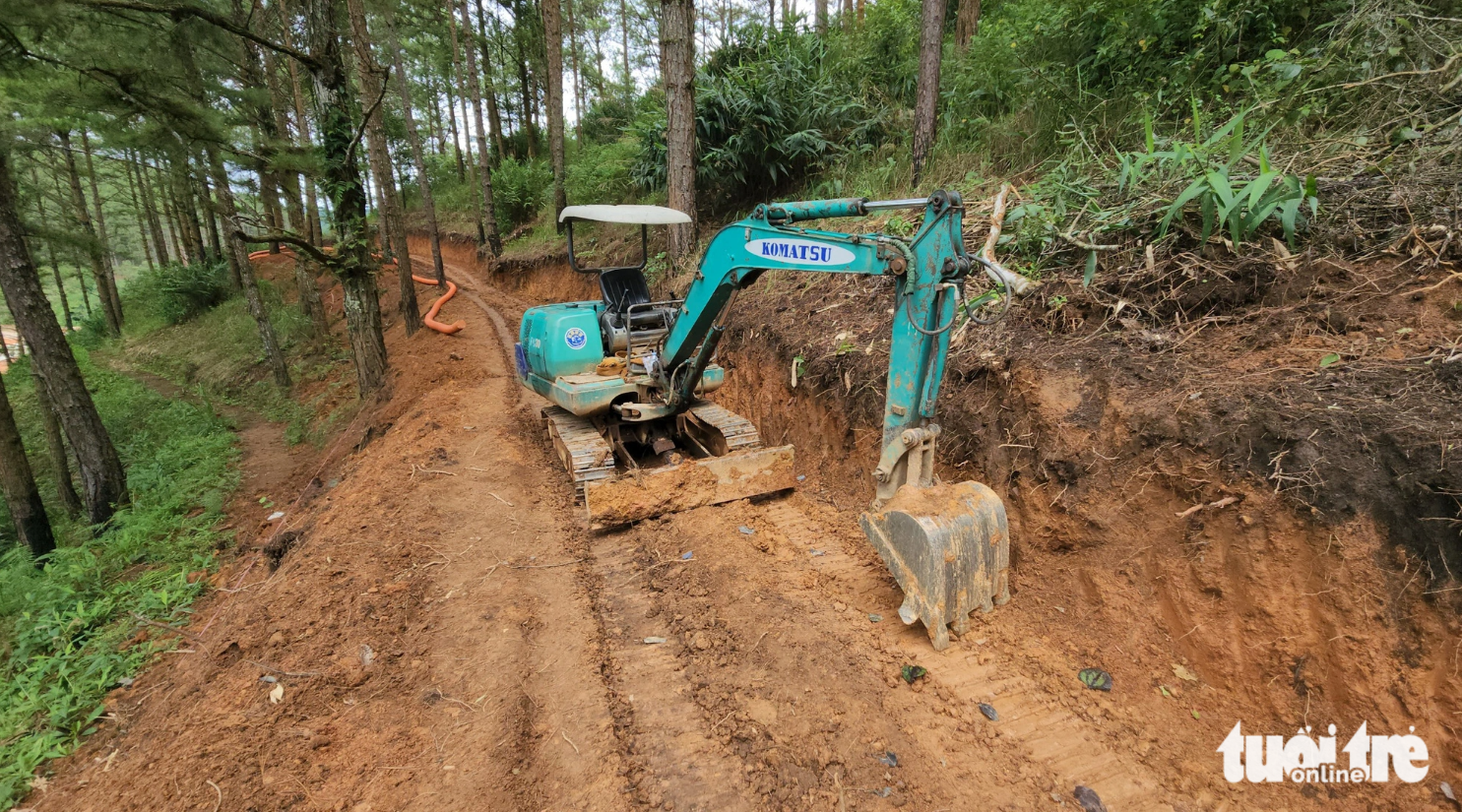 Firm unlawfully opens path through forest at national tourist site in Da Lat