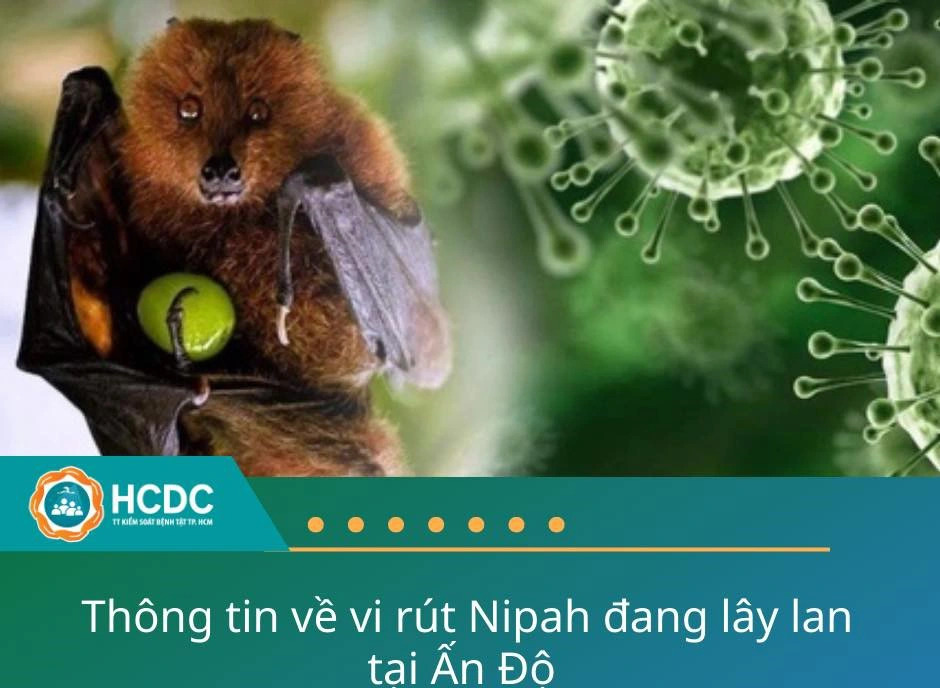 Ho Chi Minh City Center for Disease Control stays vigilant against Nipah outbreak in India